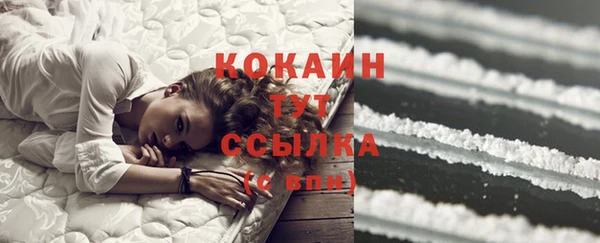 крисы Кукмор