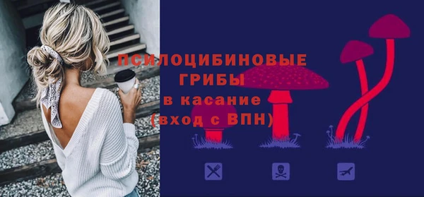 гидропоника Краснослободск