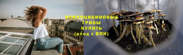 ПСИЛОЦИБИНОВЫЕ ГРИБЫ Куйбышев