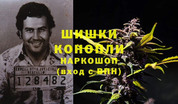 стаф Кулебаки
