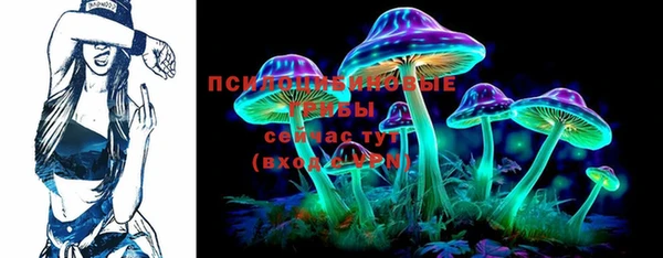 крисы Кукмор