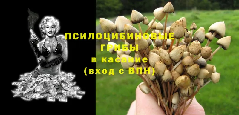 Псилоцибиновые грибы MAGIC MUSHROOMS  Старая Купавна 