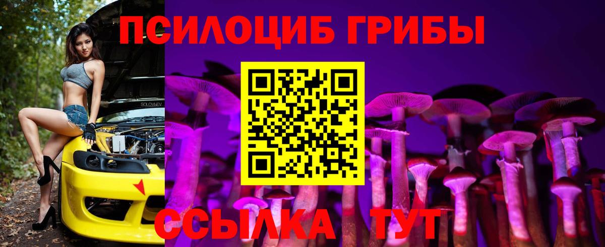Галлюциногенные грибы ЛСД  Вход с VPN  Галлюциногенные грибы MAGIC MUSHROOMS  Старая Купавна 